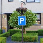 Ooievaar op nest met ei