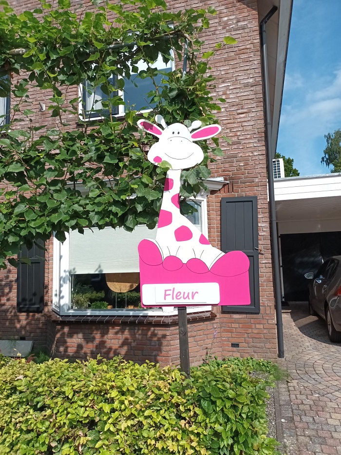 Opblaaspop pensioen Hoera dame - Afbeelding 11