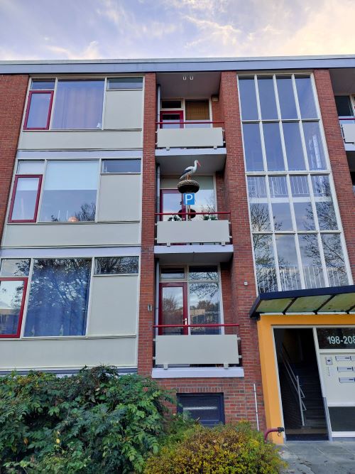 Ooievaar op nest met ei t.b.v. Balkon - Afbeelding 8