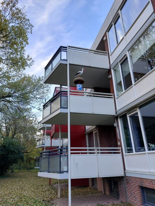 Ooievaar op nest met ei t.b.v. Balkon - Afbeelding 3