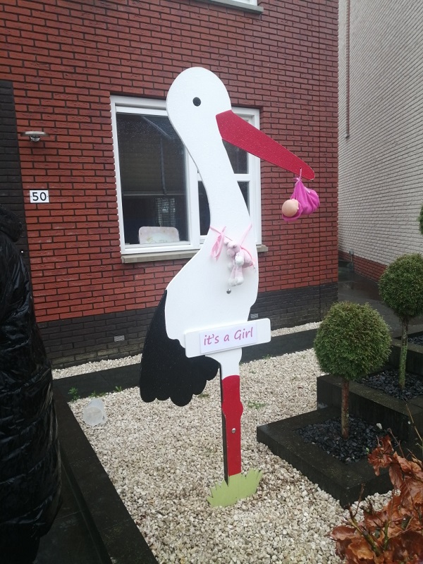 Geboortebord Ooievaar Xl 1 blank of getint / jongen of meisje - Afbeelding 2