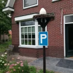 Ooievaar op nest met ei