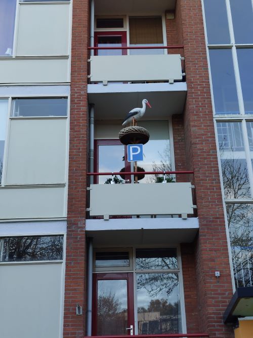 Ooievaar op nest met ei t.b.v. Balkon - Afbeelding 9