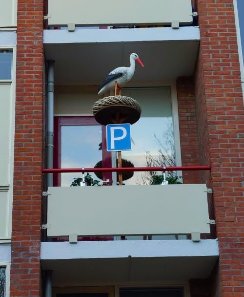 Ooievaar op nest met ei t.b.v. Balkon - Afbeelding 7