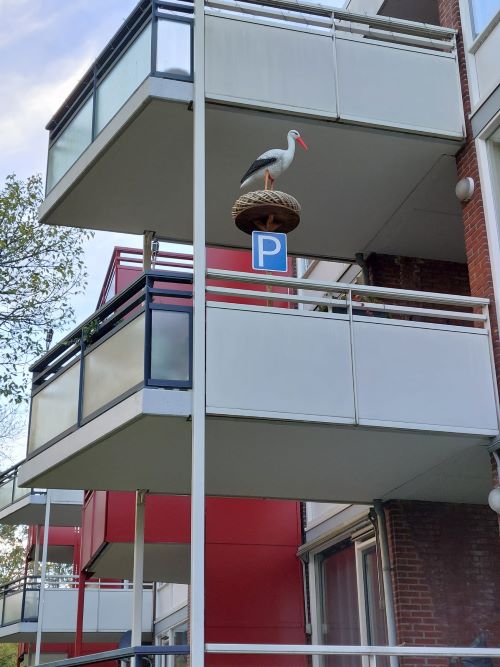 Ooievaar op nest met ei t.b.v. Balkon - Afbeelding 10