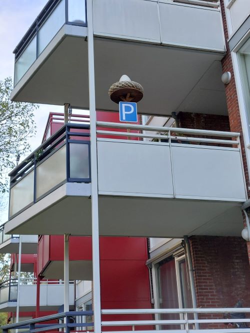Ooievaar op nest met ei t.b.v. Balkon - Afbeelding 5