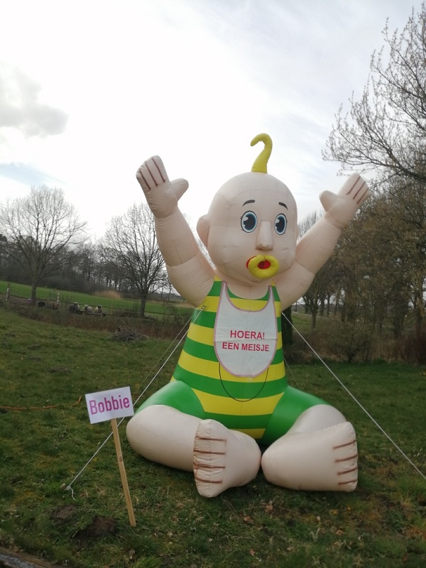 Opblaas Baby type 1 jongen of meisje - Afbeelding 2